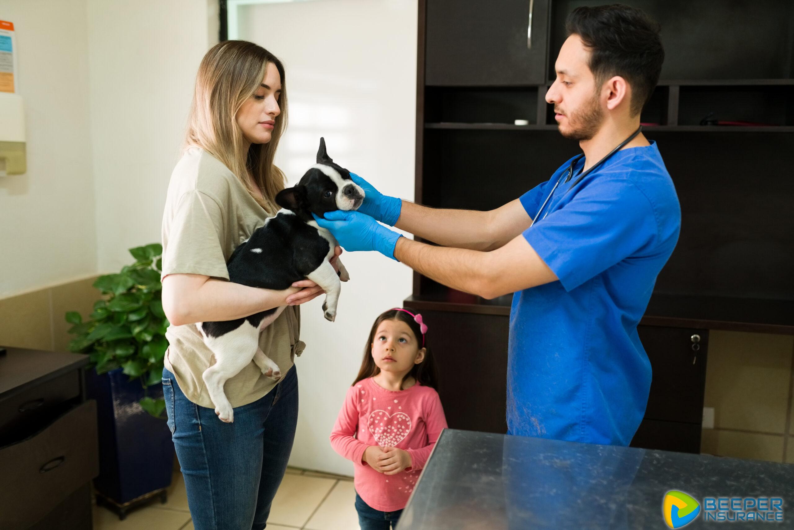 Pet Insuarnce