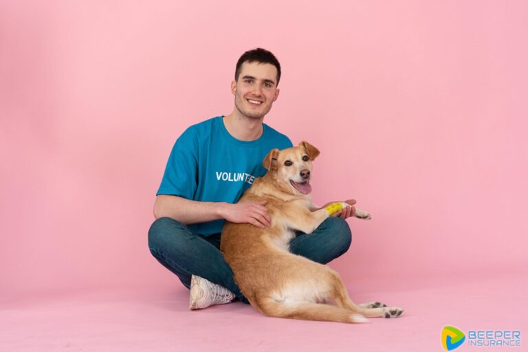 Otto Pet Insurance