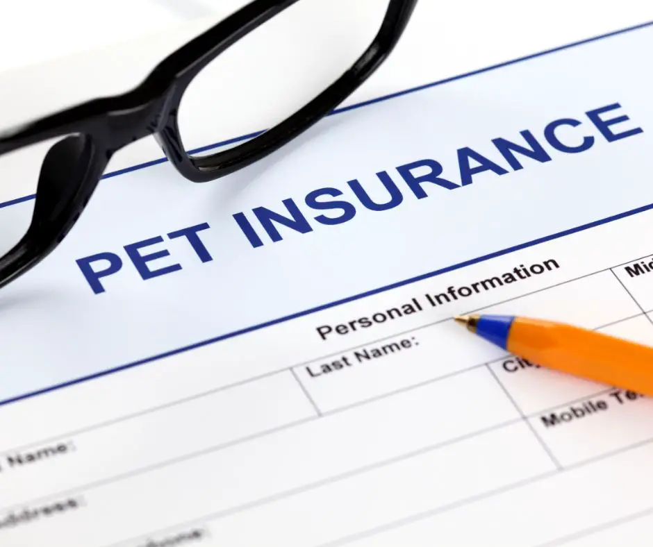 Cancel Spot Pet Insurance