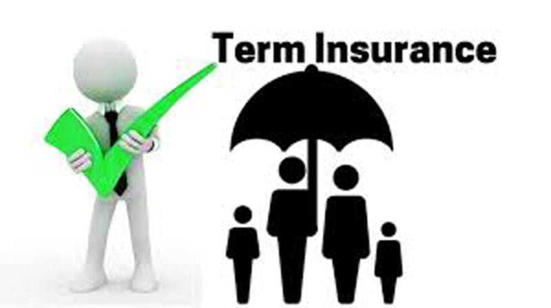 What is Term Life Insurance